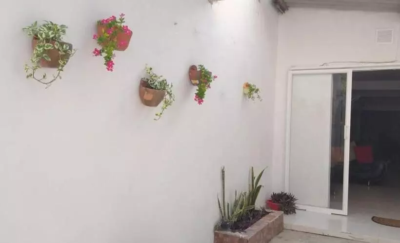 ペンション Hostal Girasoles Tolu