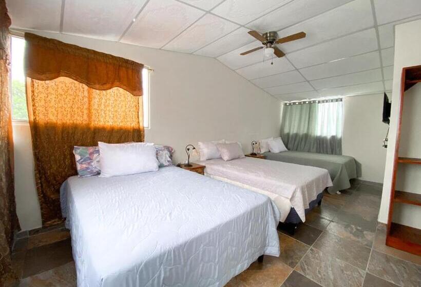 پانسیون Maria Iii Hostal