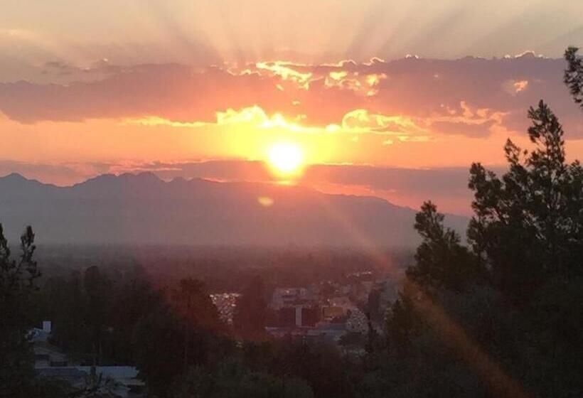 פנסיון Mason House