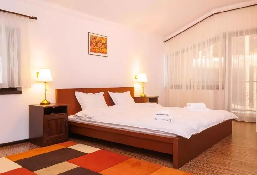 ペンション Paradisul Verde Siriu