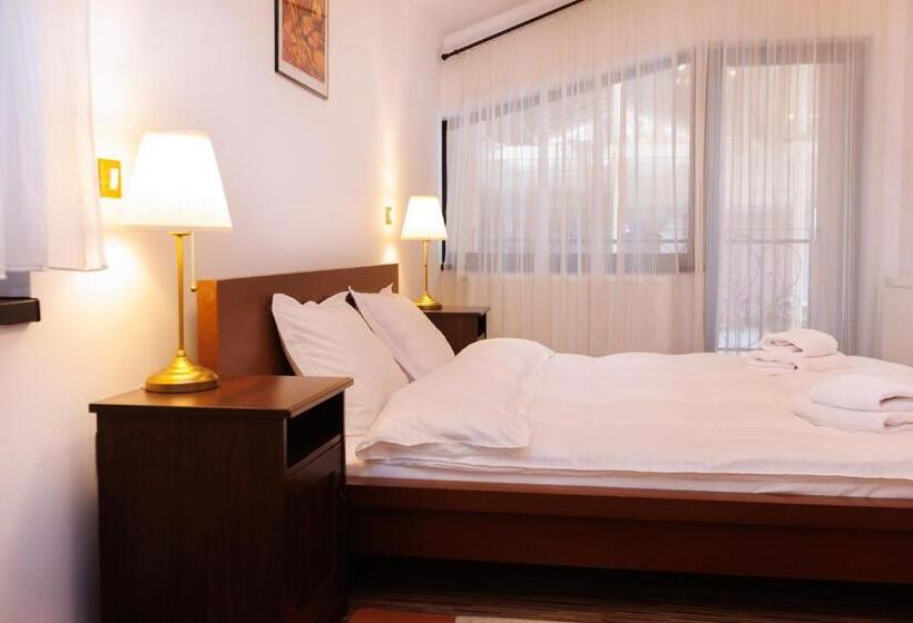 ペンション Paradisul Verde Siriu