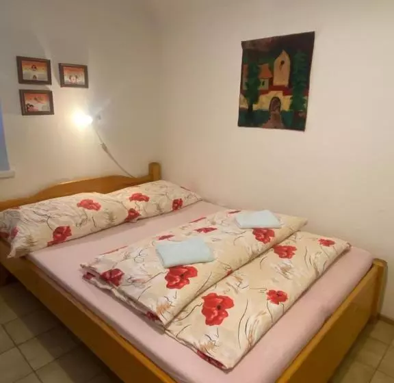 Majatalo Penzión Pani B