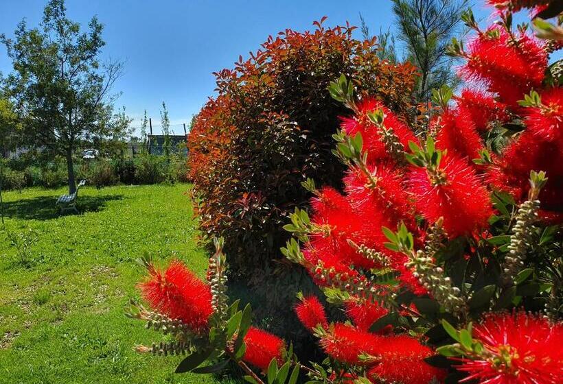 ユースホステル Rincón Del Alma