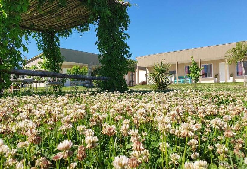 ユースホステル Rincón Del Alma