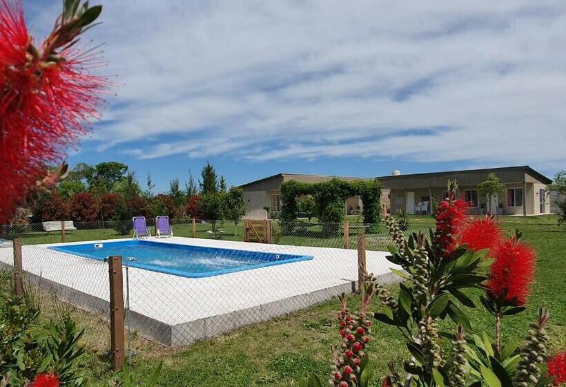 ユースホステル Rincón Del Alma