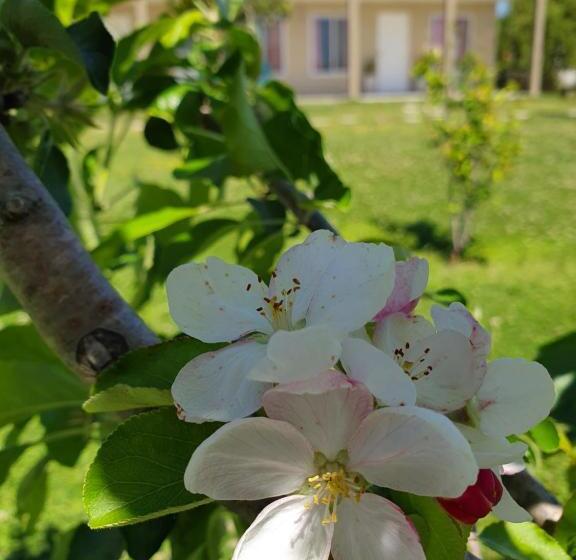 ユースホステル Rincón Del Alma