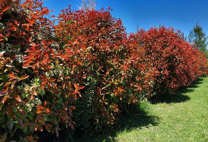 ユースホステル Rincón Del Alma