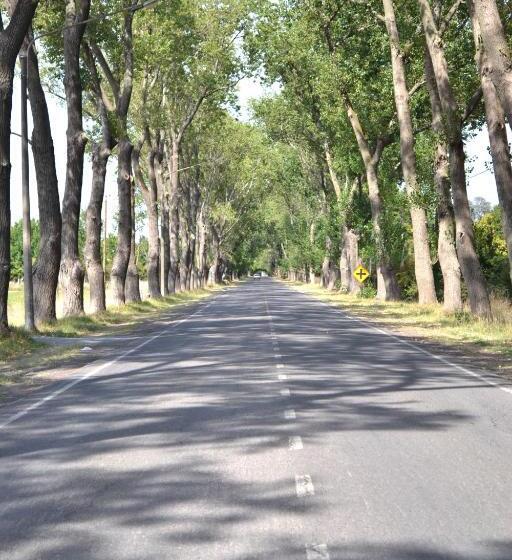 ユースホステル Rincón Del Alma