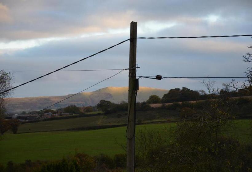 旅馆 The White Horse Inn