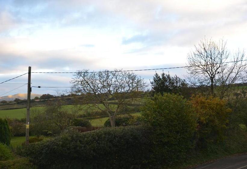 旅馆 The White Horse Inn