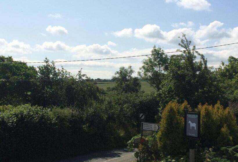 旅馆 The White Horse Inn