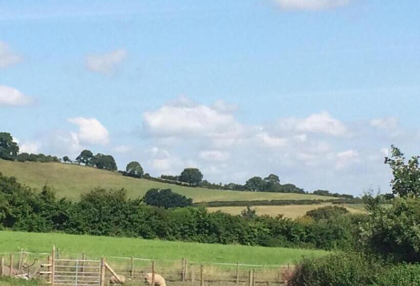 旅馆 The White Horse Inn