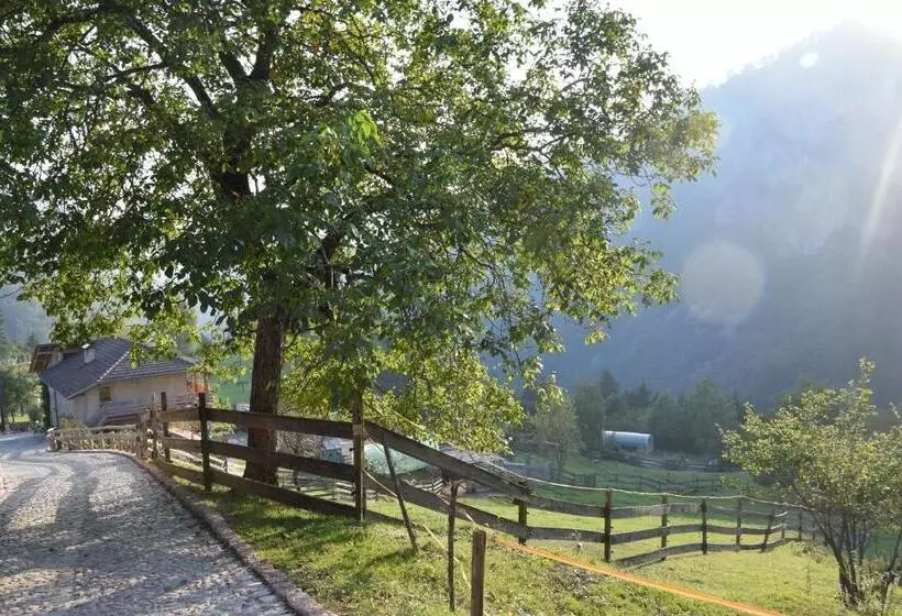ベッドアンドブレックファースト Agriturismo Athabaska