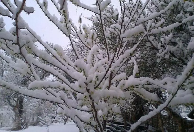 Aamiaismajoitus (B&B) Cabañas Quisama