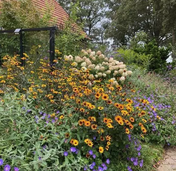 ベッドアンドブレックファースト De Viersprong