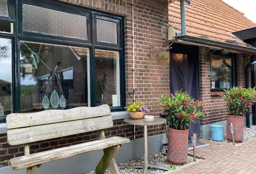 住宿加早餐  De Viersprong