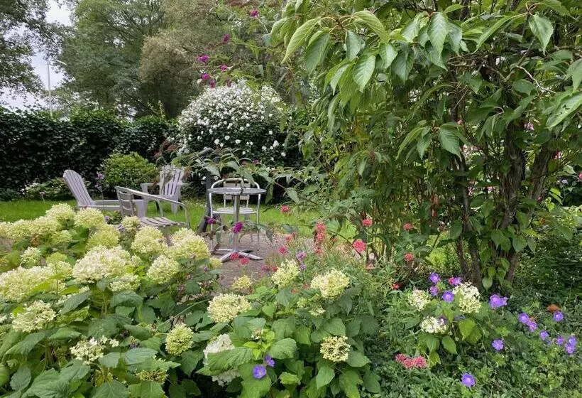 ベッドアンドブレックファースト De Viersprong