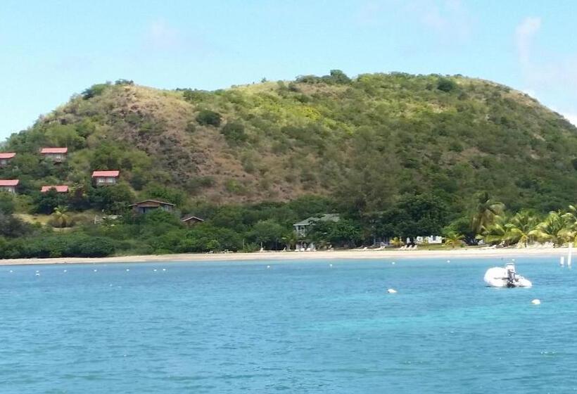 تختخواب و صبحانه Manuae House Of Birds