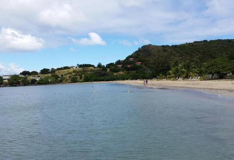 تختخواب و صبحانه Manuae House Of Birds