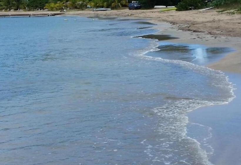 تختخواب و صبحانه Manuae House Of Birds