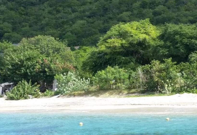 تختخواب و صبحانه Manuae House Of Birds