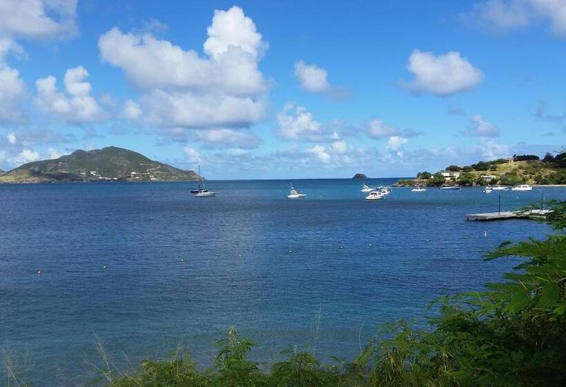 تختخواب و صبحانه Manuae House Of Birds