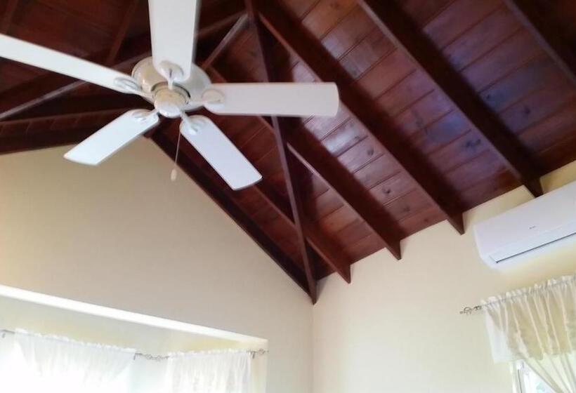 تختخواب و صبحانه Manuae House Of Birds