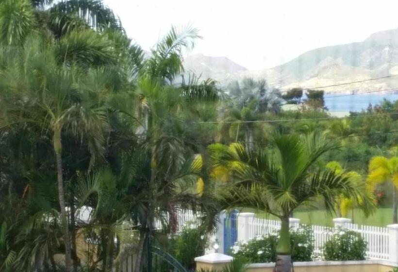 تختخواب و صبحانه Manuae House Of Birds