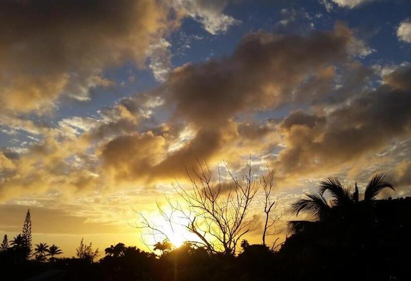 تختخواب و صبحانه Manuae House Of Birds