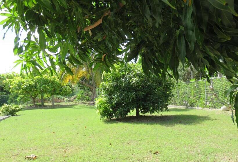 تختخواب و صبحانه Manuae House Of Birds