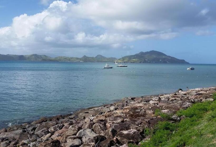 تختخواب و صبحانه Manuae House Of Birds