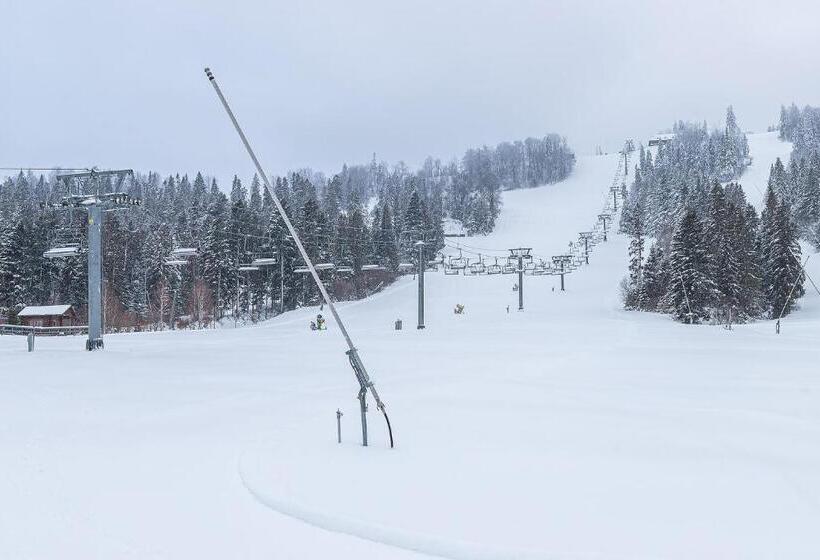 Hotel карпатська ружа