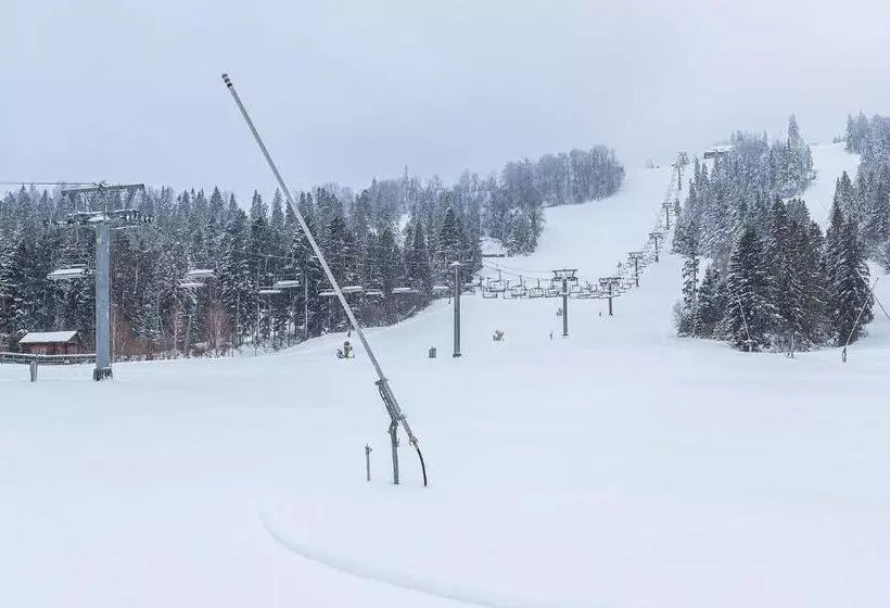 Hotelli карпатська ружа