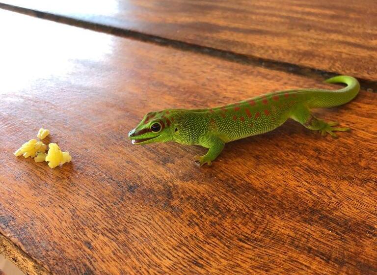 هتل Kiteparadise Madagascar