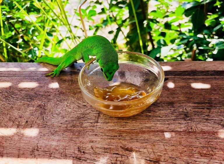 هتل Kiteparadise Madagascar