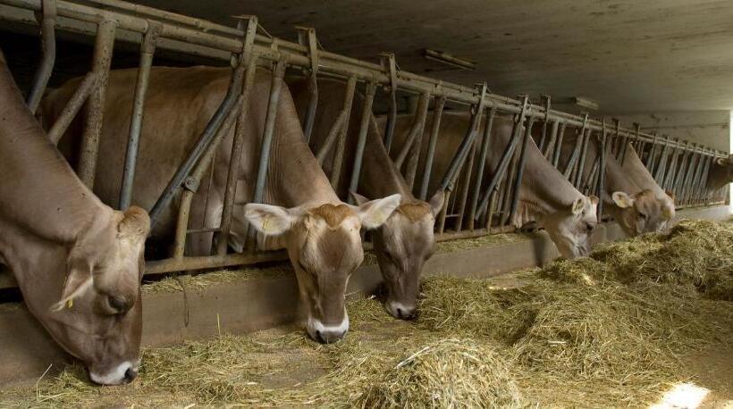 Отель Obermoserhof