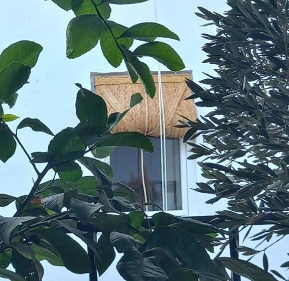 膳宿费 Guesthouse Jazmínes Mozárabes # Wifi