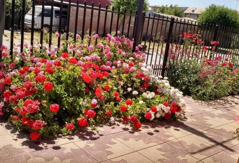 پانسیون Hostal Casa Blanca