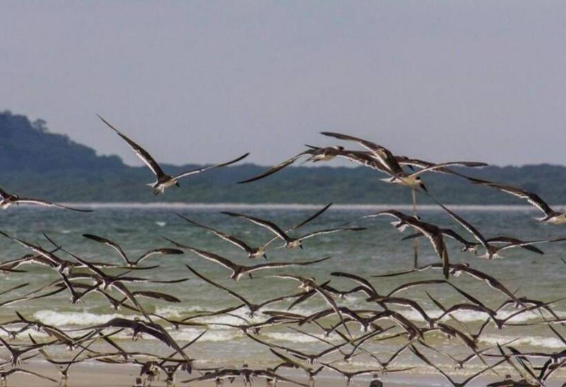 Pension Ilha Das Peças Lagamar