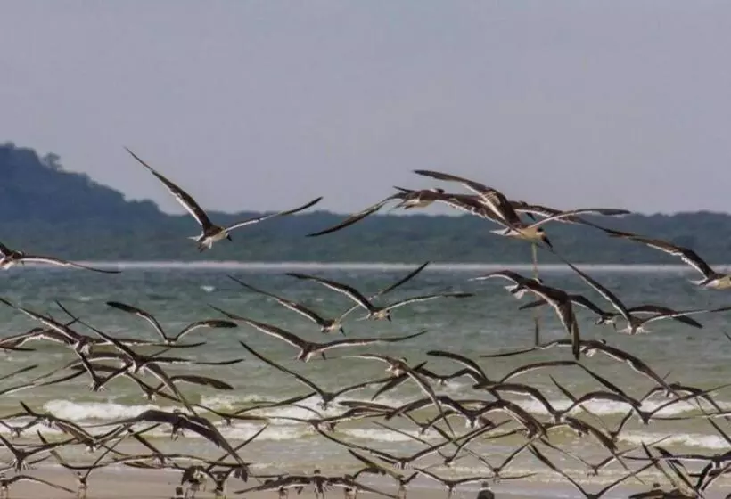 ペンション Ilha Das Peças Lagamar