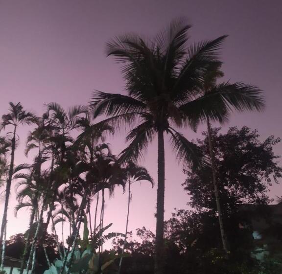 Panzió Recanto Bromélias