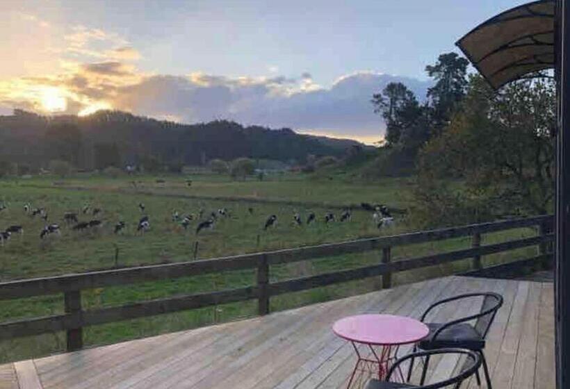 بنسيون White Pine Bush Cabins