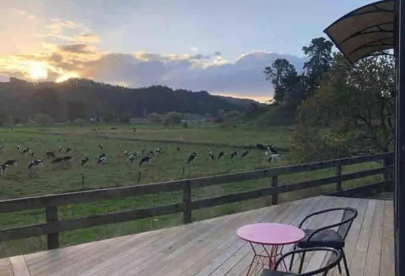Majatalo White Pine Bush Cabins