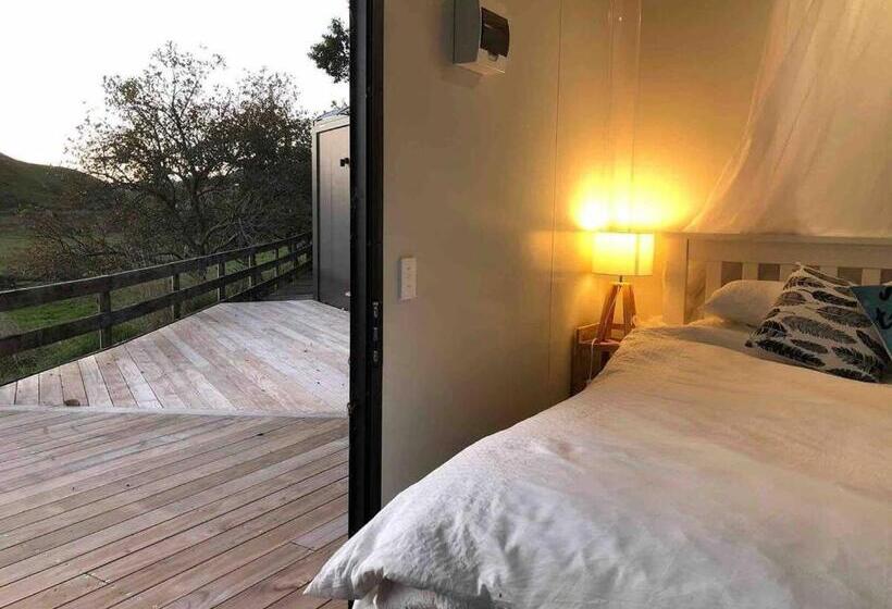 بنسيون White Pine Bush Cabins