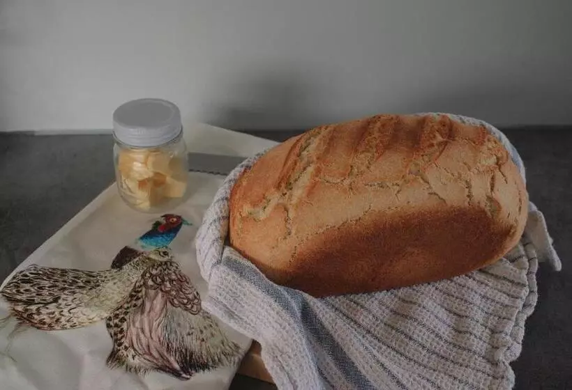 Majatalo White Pine Bush Cabins