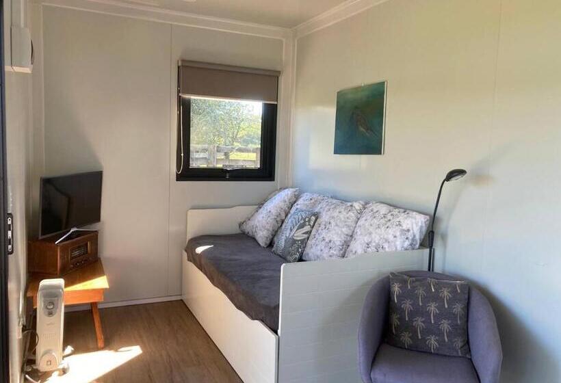 بنسيون White Pine Bush Cabins