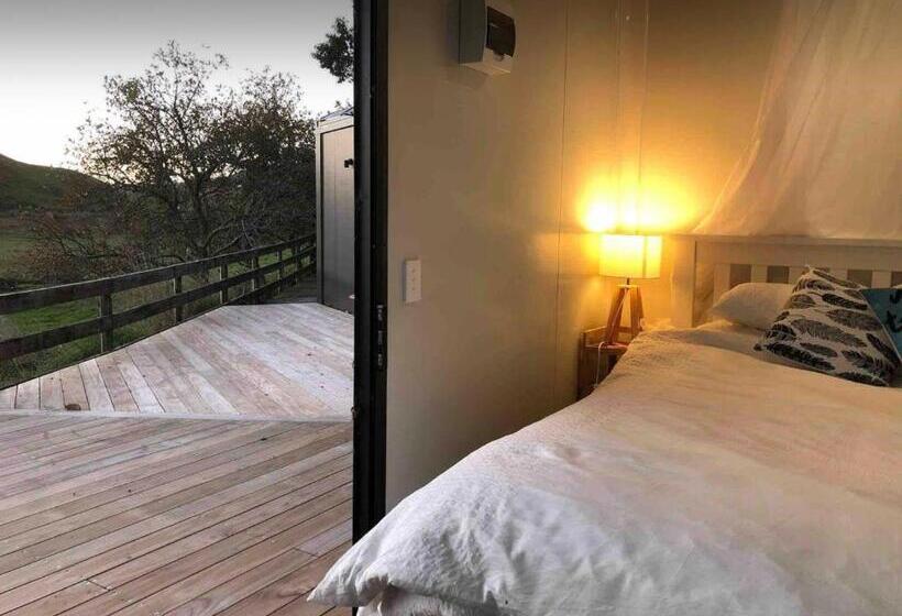 بنسيون White Pine Bush Cabins