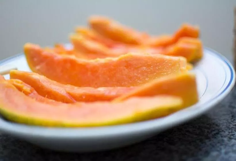 ユースホステル Pousada São Rafael