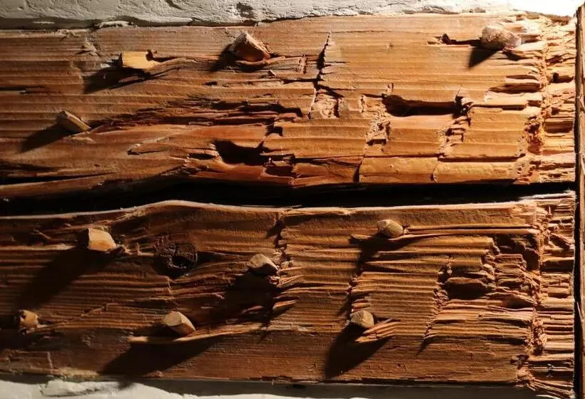 ホテル Le Lion   Self Check In