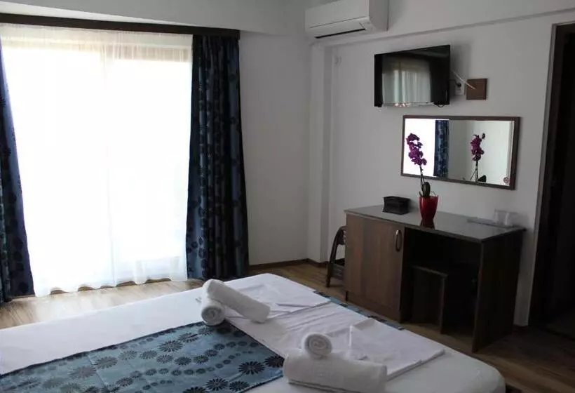 ホテル Vila Medeea